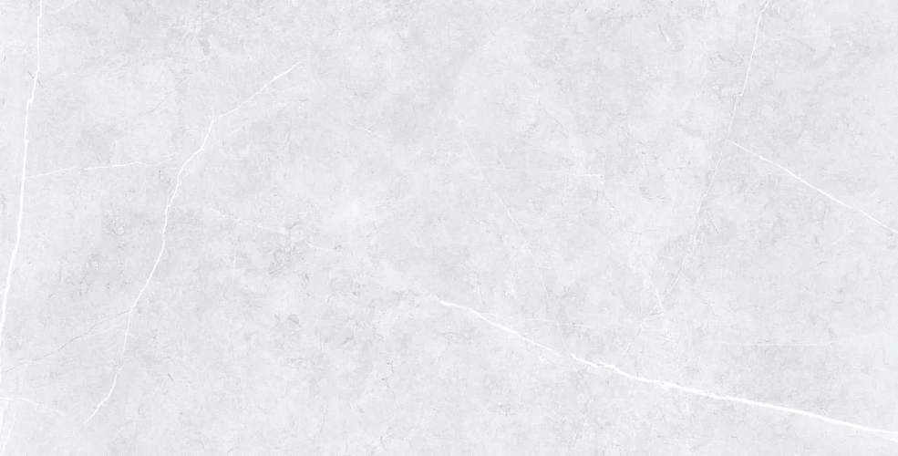 Swindon Grey Polished Technical Porcelain 6012024 Керамогранит 60x120