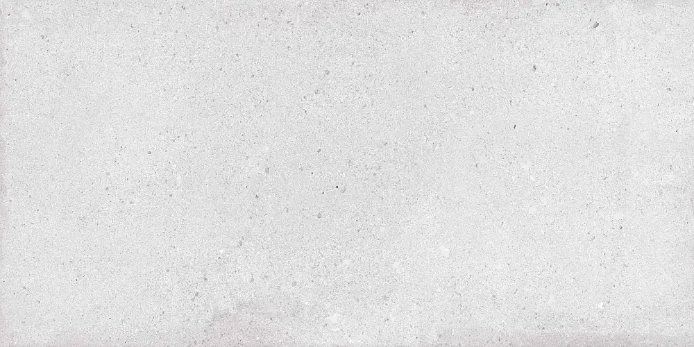 Rockstar Venice NTTVL99825M Матовый Керамогранит 60x120