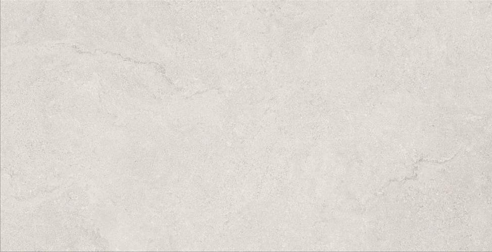 Tokyo Grey Токио Грэй RFN126H532A Матовый Керамогранит 60x120