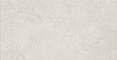 Tokyo Grey Токио Грэй RFN126H532A Матовый Керамогранит 60x120
