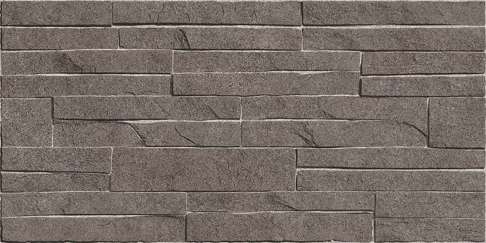 Discover Коричневый TWU2550DCV24 Матовая 24,9x50