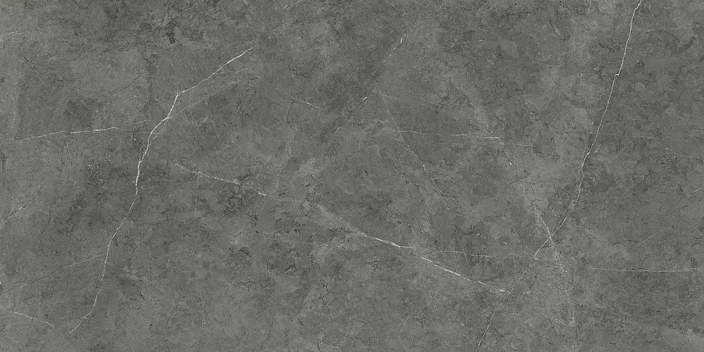 Nioba Темно-серый GT1206013009LR Керамогранит 60x120