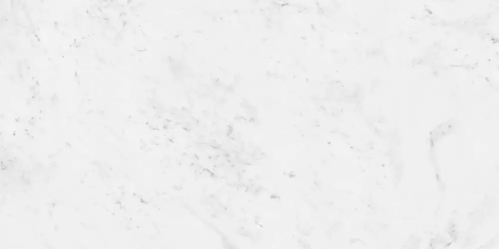 Carrara Antique Satin N20559 Керамогранит 60x120