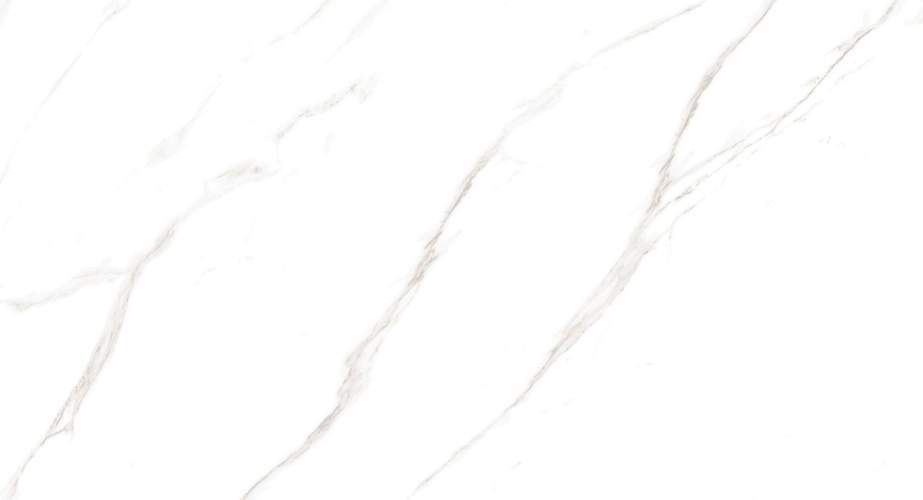 Carrara Livia Glossy M4401P Полированный Керамогранит 60x120