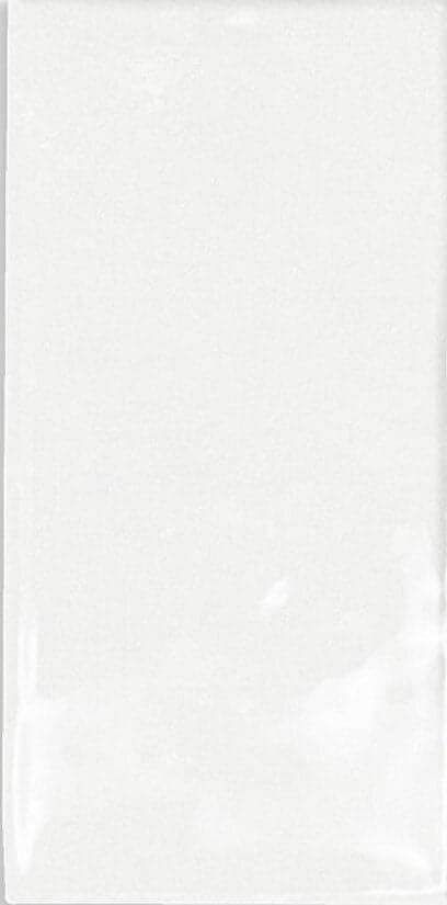 Fez White Gloss 114680 6,25x12,5