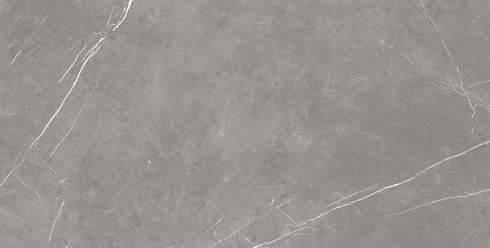 Elegant Grey Lapp Керамогранит 80x160