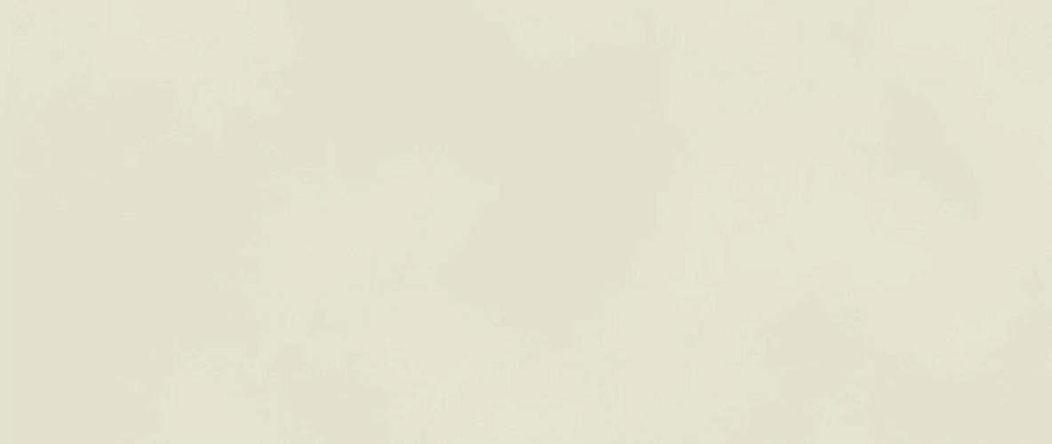 Boost Color Salix AKM4 50x120