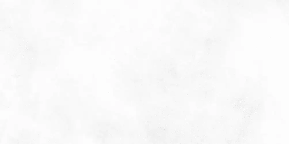 Konor White WT9KON00 Матовая 24,9x50