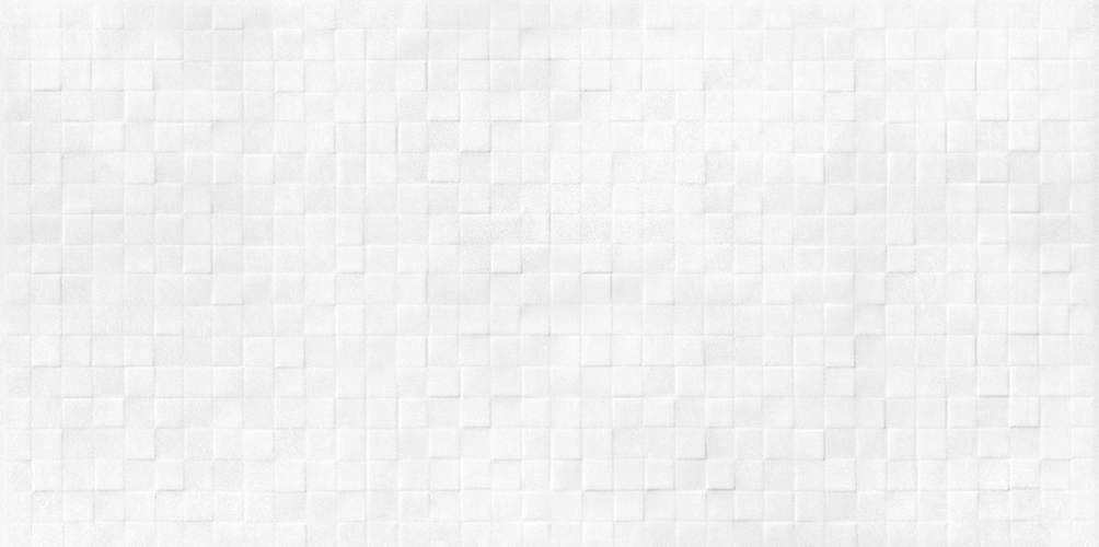 Santos White WT9SOS00 Матовая 24,9x50