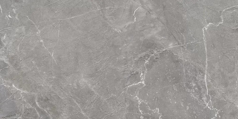 Terra Graphite 60120TER25P Полированный Керамогранит 60x120