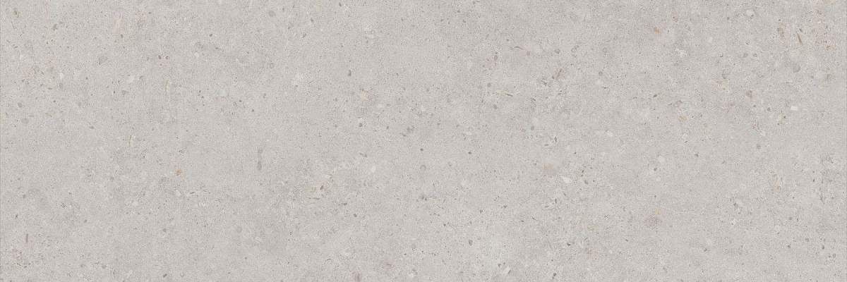 Риккарди Серый Светлый Матовый Обрезной 14053R 40x120