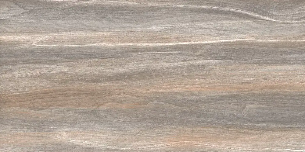 Esprit Wood WT9ESR21 Глянцевая 25x50