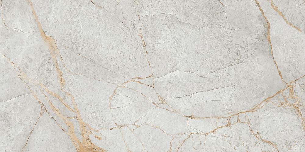 Special Marmo Gray 60120PEC15P Полированный Керамогранит 60x120