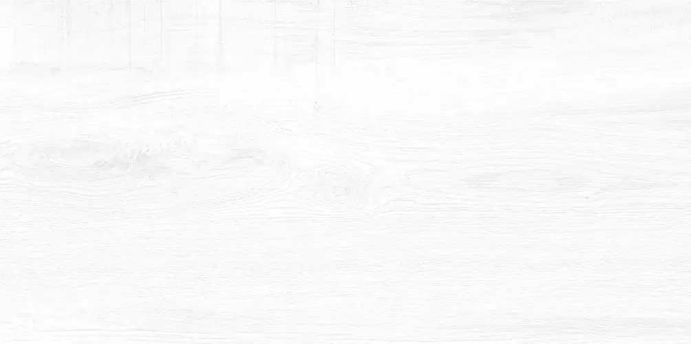 Briole White WT9BRE00 Глянцевая 24,9x50