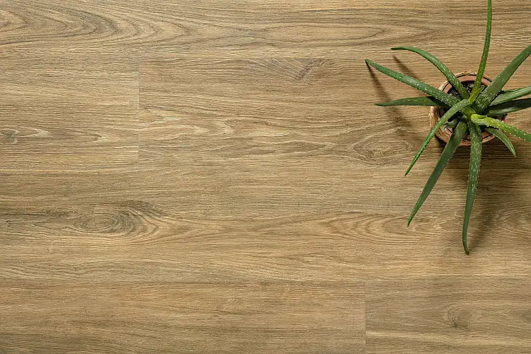 Verbier Honey Decor 40268 Матовая Керамика 33,3x100