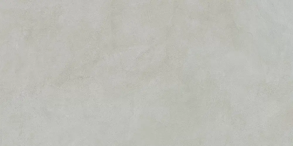 MicroCement Светло-Серый Матовый 8 мм K947891R Керамогранит 60x120