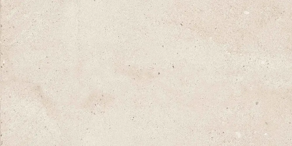 Rockstar Detroit NTTVL99827M Матовый Керамогранит 60x120