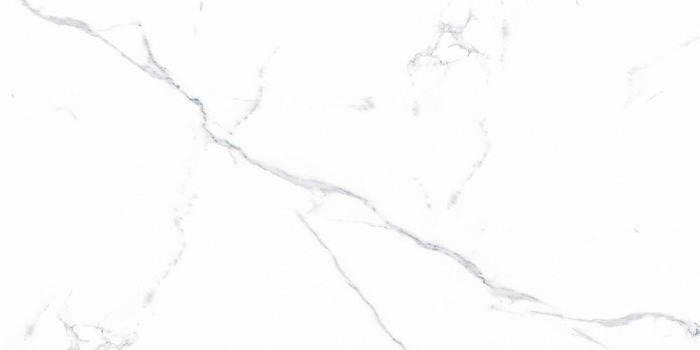 Statuario Justice Grey белый Керамогранит 60x120 Матовый