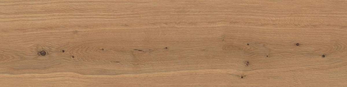 Log Deep Oak Forest AX4D Керамогранит 30x120