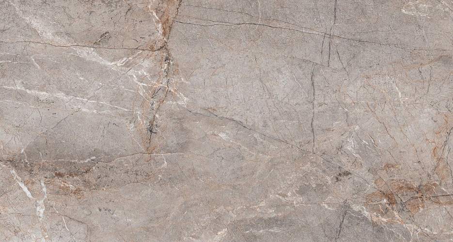 Lester Grey Mat S4431M Серый Керамогранит 60x120