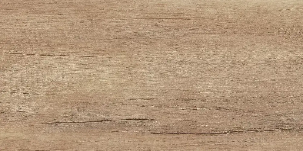 Miloni Бежевый TWU2550MLN04 Матовая 24,9x50