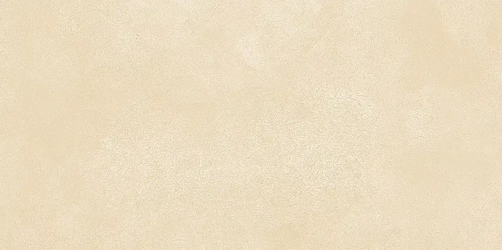 Petra Beige WT9PET11 Матовая 24,9x50