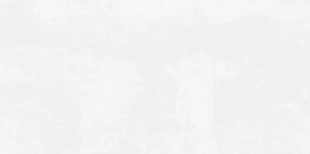 Antre White WT9ANR00 Матовая 24,9x50