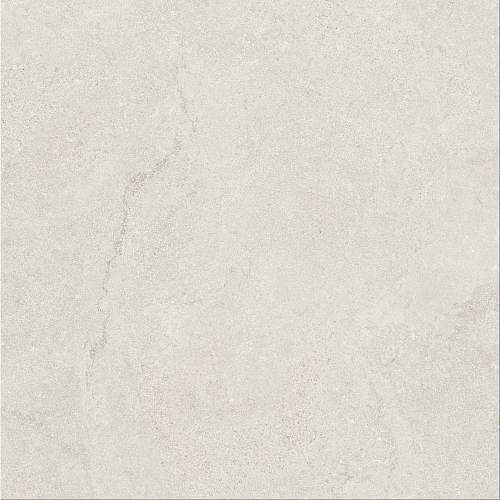 Tokyo Grey Токио Грэй RFN60H532A Матовый Керамогранит 60x60