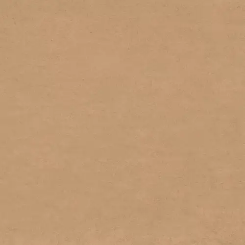 Bronze GP2020DNA31 Матовый Керамогранит 20x20