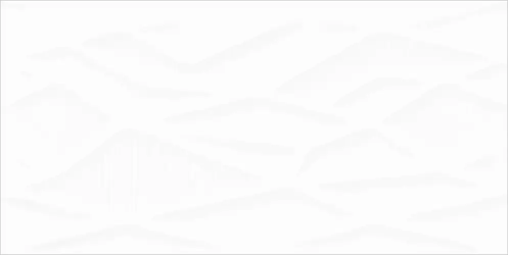 Manhattan Bridge White WT9BRI00 Глянцевая Рельефная 24,9x50