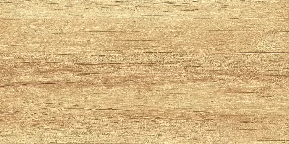 Paradise Wood WT9OAS31 Глянцевая 25x50