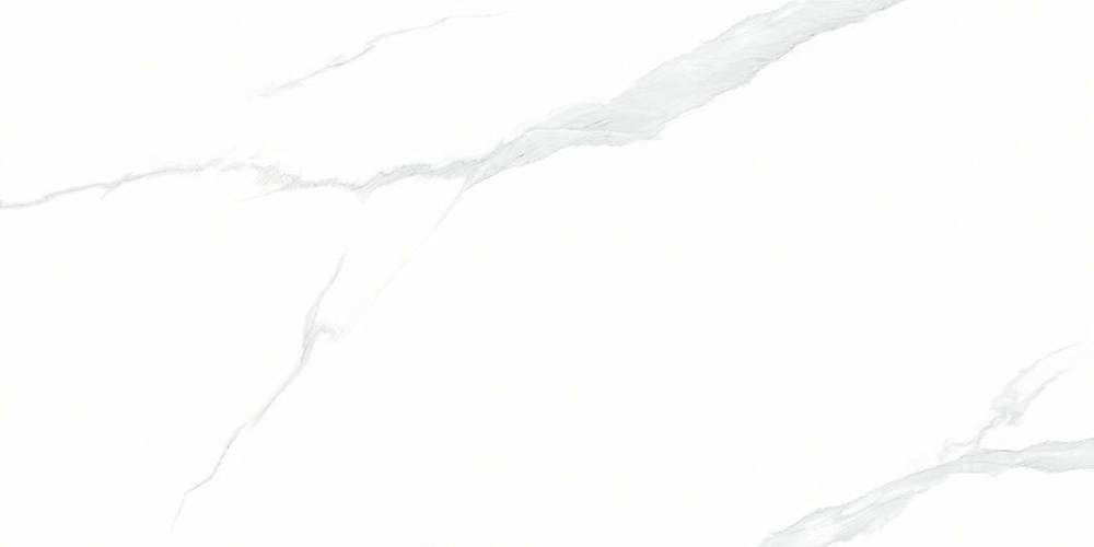 Statuario Керамогранит 60x120