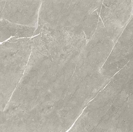 Bright And Shiny BB6NTT9102P Керамогранит 60x60