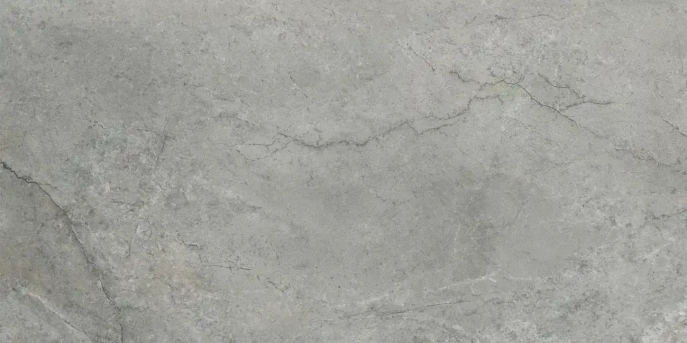 ArcticStone Серый Матовый 8 мм K947897R Керамогранит 60x120