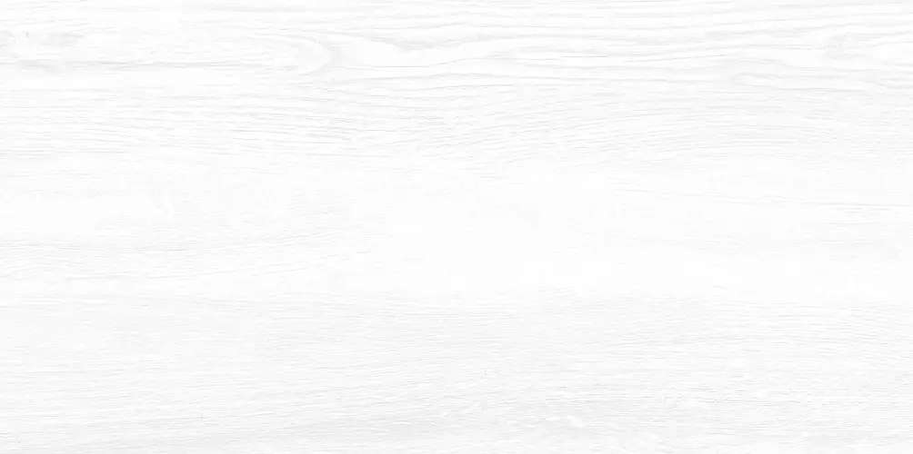 Briole White WT9BRE00 Глянцевая 24,9x50