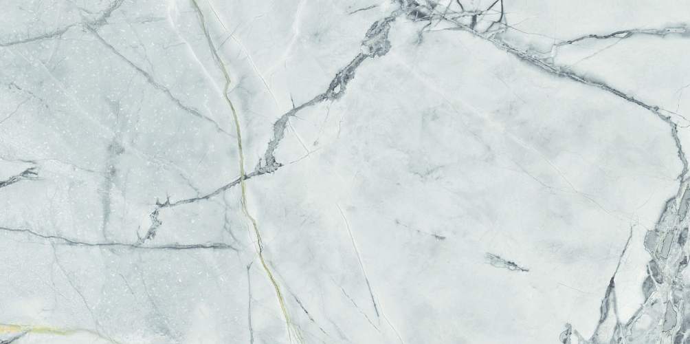 Albion Pulpis Dark WT9ALN23 Глянцевая 24,9x50