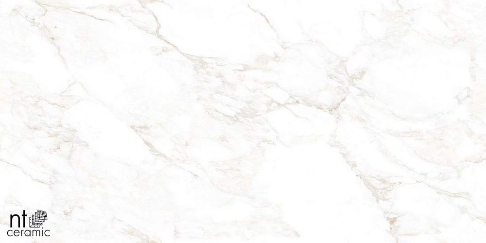 Marble Extra Endless Mat Керамогранит 60x120