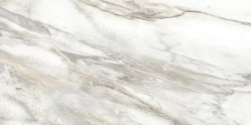 Euphoria Серый TWU2550EPH74 Матовая 24,9x50