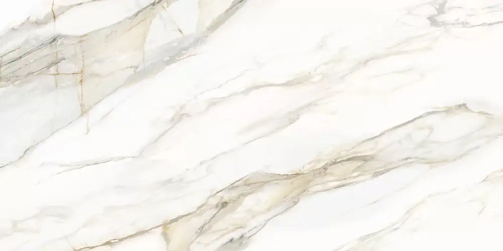 Omega Gold D12054M Матовый Керамогранит 60x120