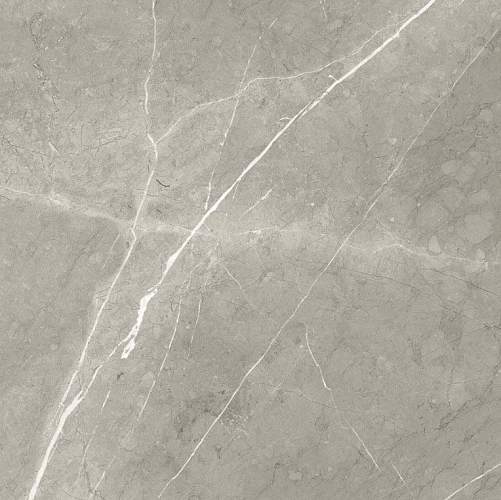 Bright And Shiny BB6NTT9102P Керамогранит 60x60