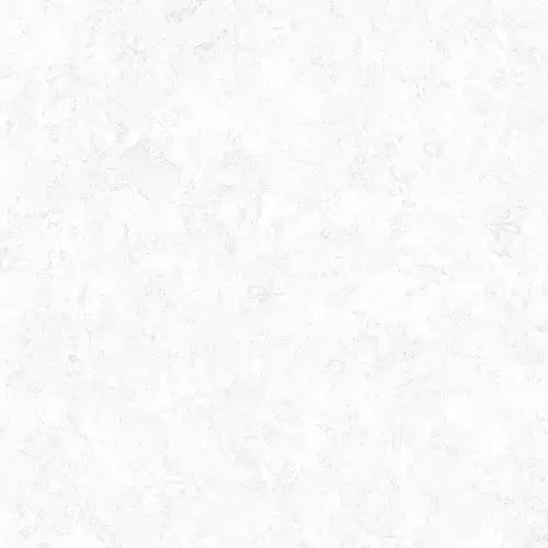 Evan White GP40PLY00L Лаппатированный Керамогранит 60x60