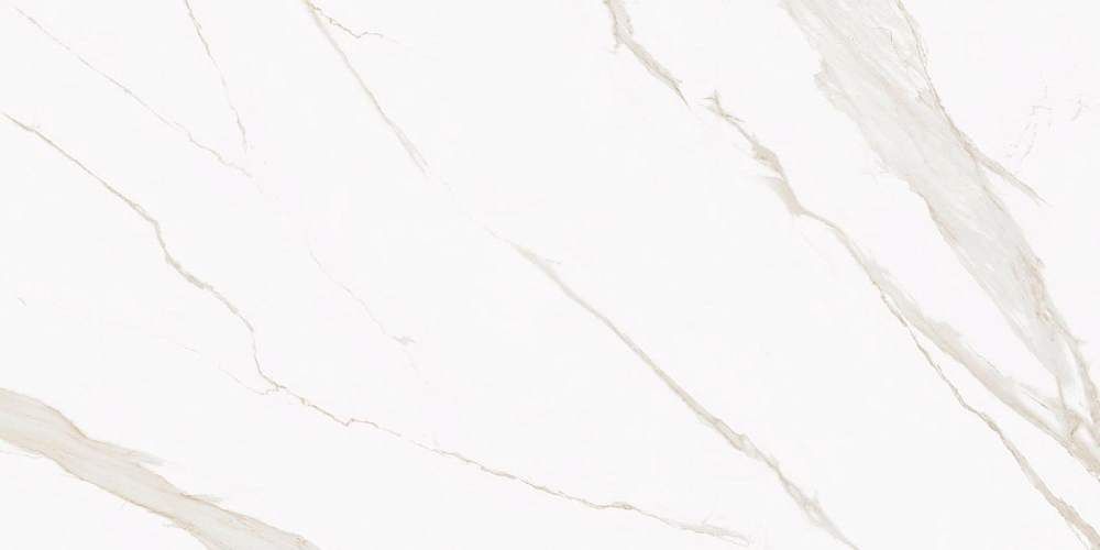 Butik  K-2021/MR/600x1200x10 Керамогранит 60x120