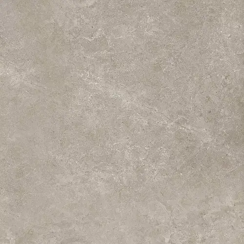 RC Shell LG Керамогранит 60x60