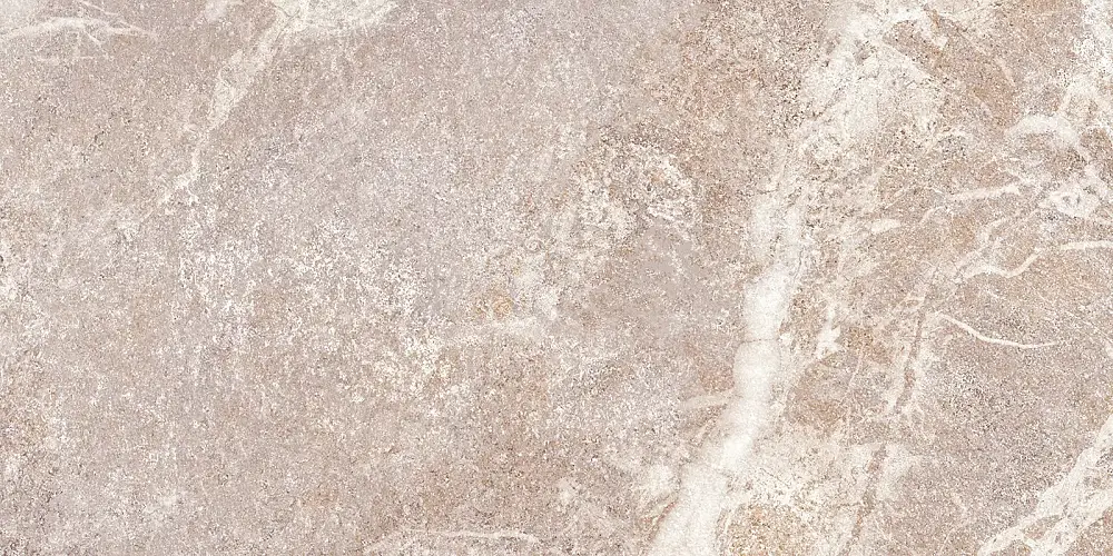 Persey Коричневый TWU2550PRS40 Матовая 24,9x50