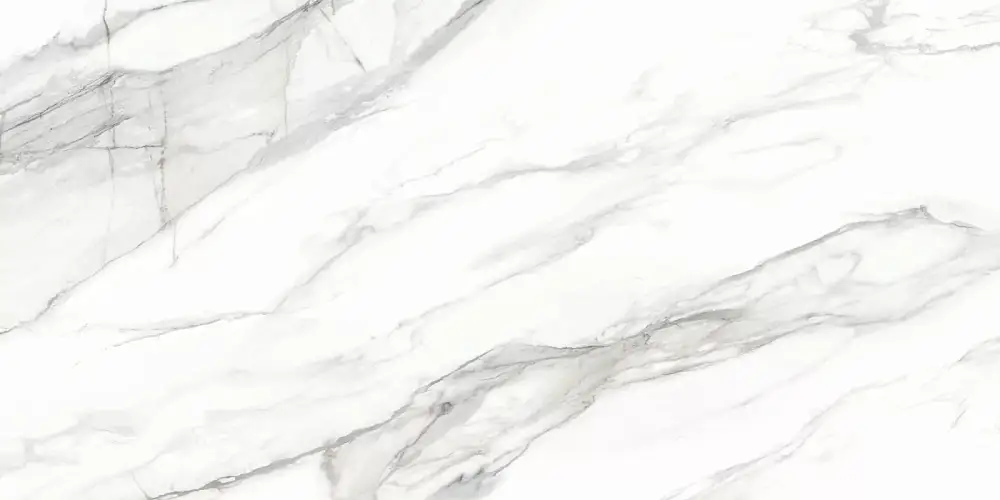 Omega Silver D12053M Матовый Керамогранит 60x120