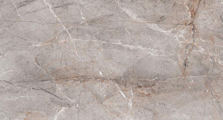 Lester Grey Mat S4431M Серый Керамогранит 60x120