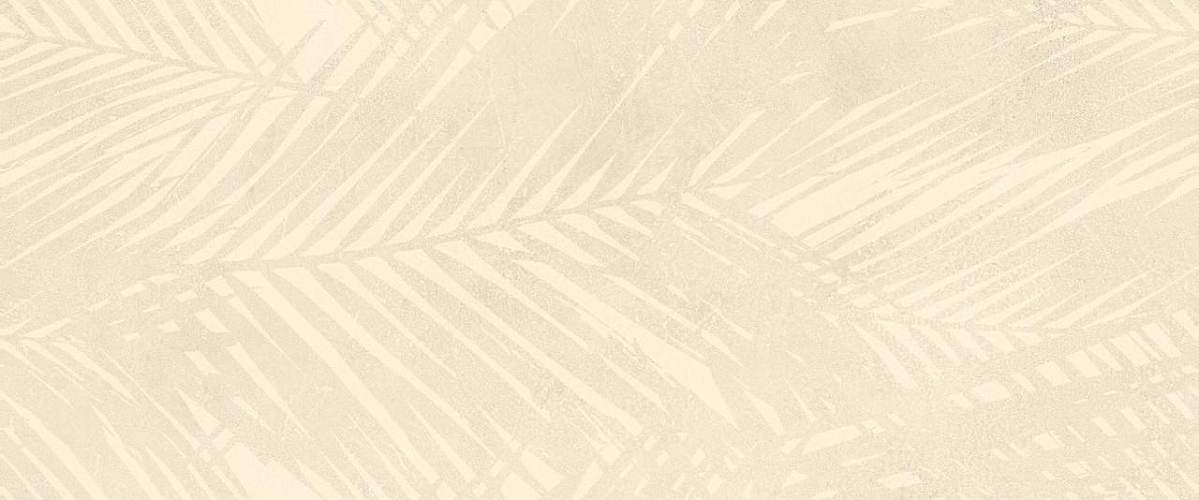 Boost Expression Life Shell AZ59 50x120