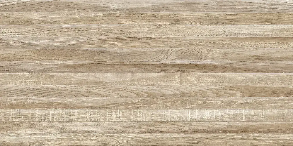 Euphoria Бежевый TWU2550EPH44 Матовая 24,9x50