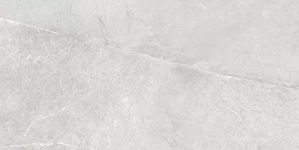 Persa Gris Керамогранит 60x120