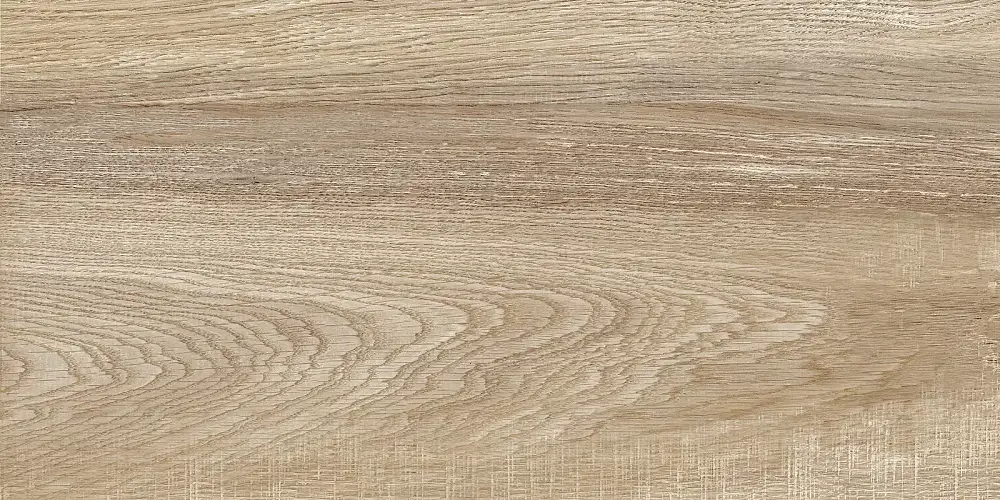 Euphoria Бежевый TWU2550EPH40 Матовая 24,9x50